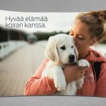 Zipper kuvaseinä